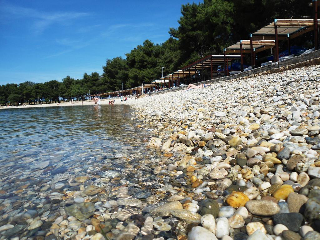 Guest House Gloria Novigrad Istria Exteriör bild